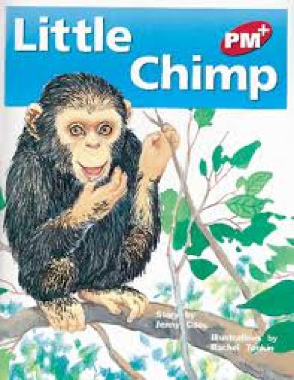 Little Chimp (Level 3)