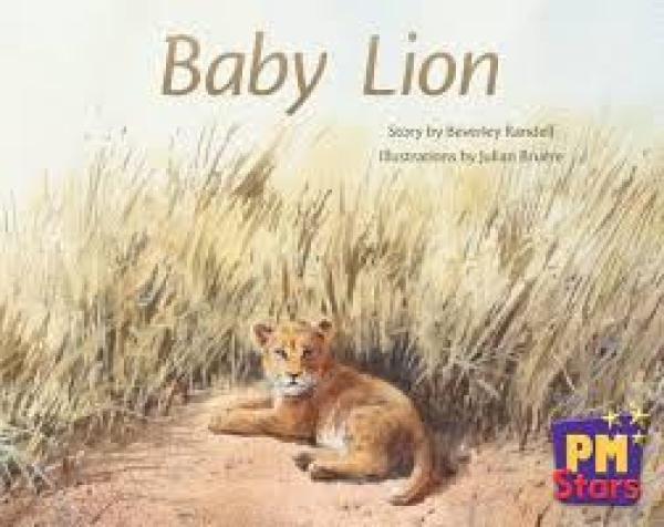 Baby Lion (Level 4)
