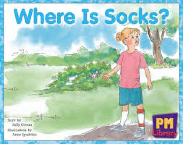 Where is Socks? (Level 5)