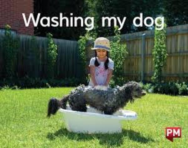 Washing My Dog (Level 1)