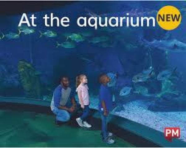 At the Aquarium (Level 2)