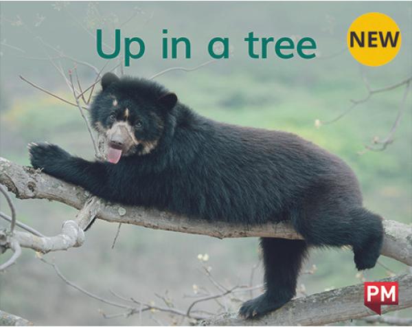 Up in a Tree (LVL 2)
