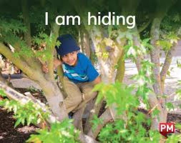 I Am Hiding (Level 2)