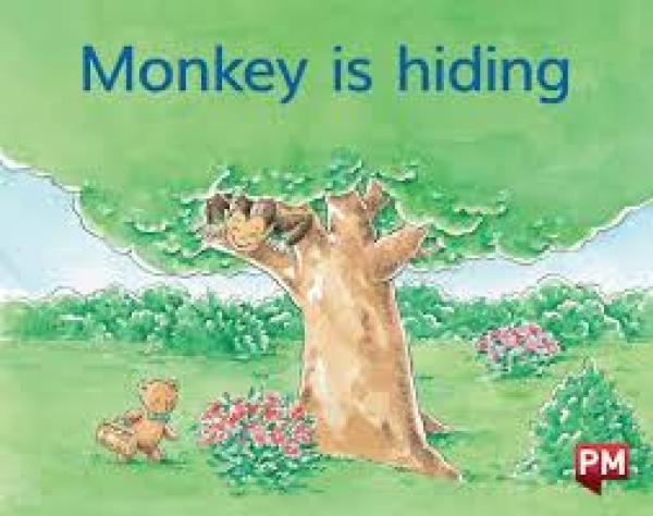 Monkey is Hiding (Level 2-3)