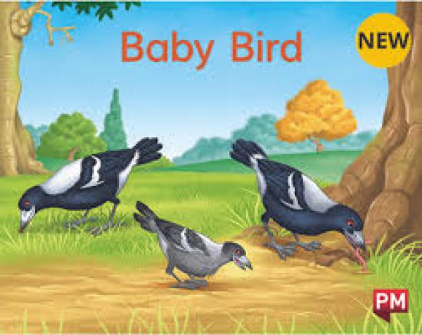 Baby Bird (Level 2-3)