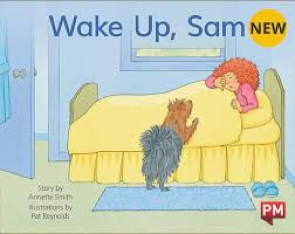 Wake Up, Sam (Level 3)