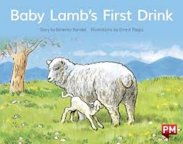 Baby Lamb's First Drink (Level 4)