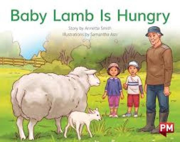 Baby Lamb is Hungry (Level 4)