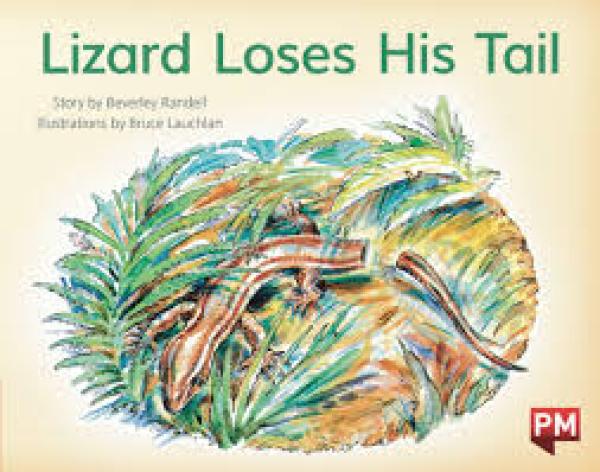 Lizard Loses His Tail (Level 5)