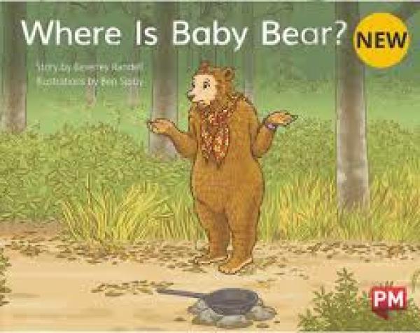 Where is Baby Bear? (Level 5)