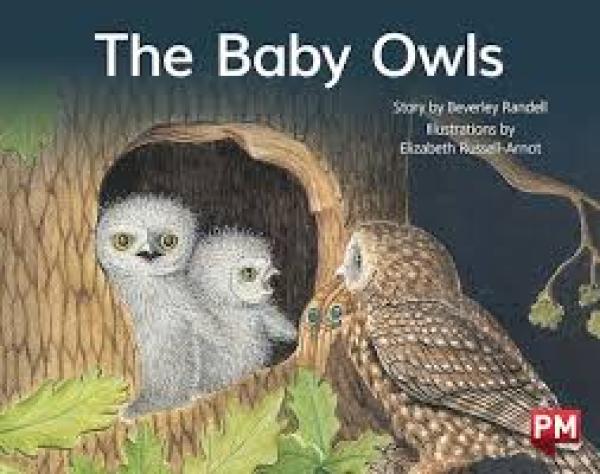 The Baby Owls (Level 4)