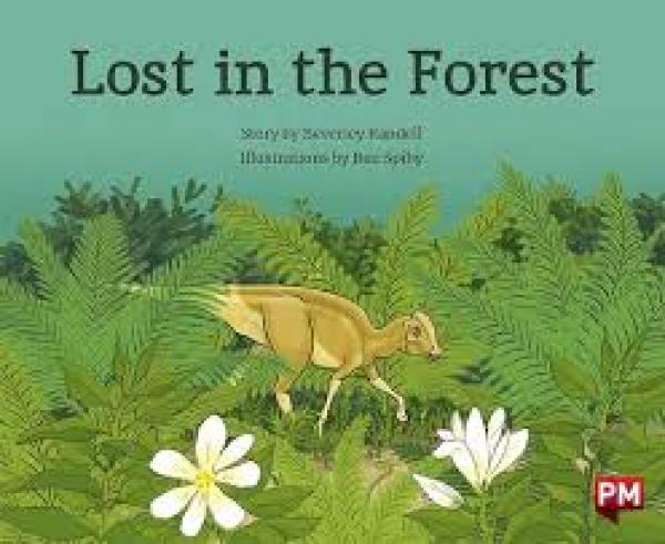 Lost in the Forest (Level 16)