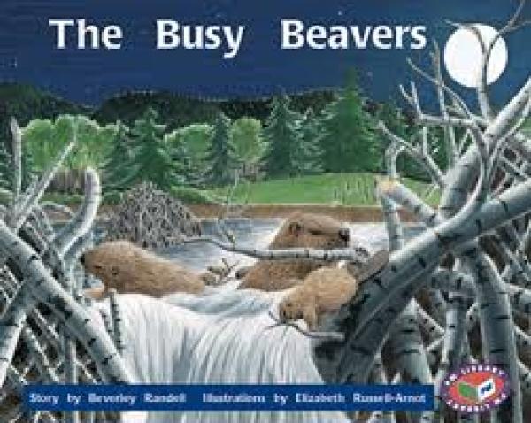 Busy Beavers,The (Level 16)