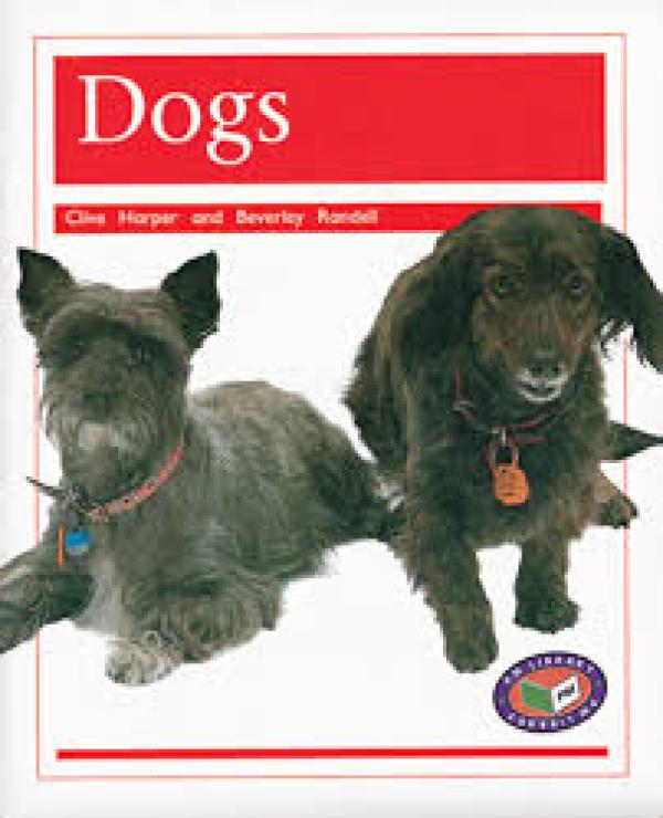 Dogs (Level 14-15)