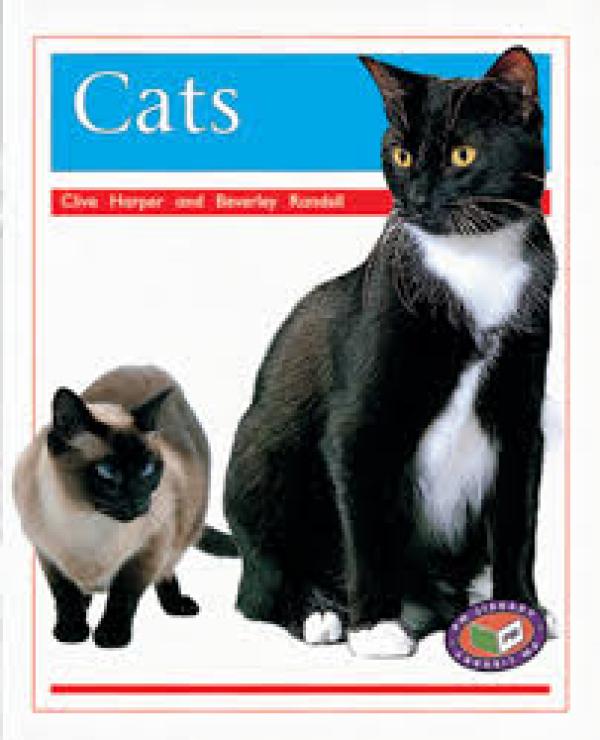 Cats (LVL 14-15 Animal Facts)