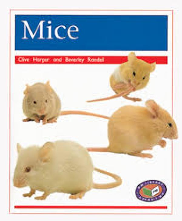 Mice (Level 16)