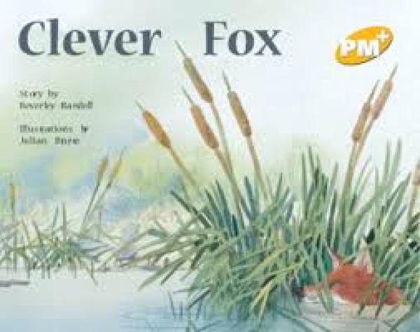 Clever Fox (Level 6)