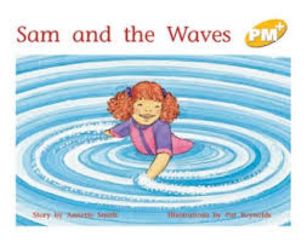 Sam and the Waves (Level 6)