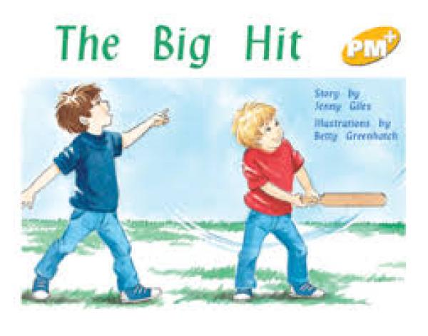Big Hit,The (Level 6)