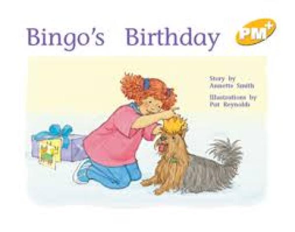 Bingo's Birthday (Level 7)