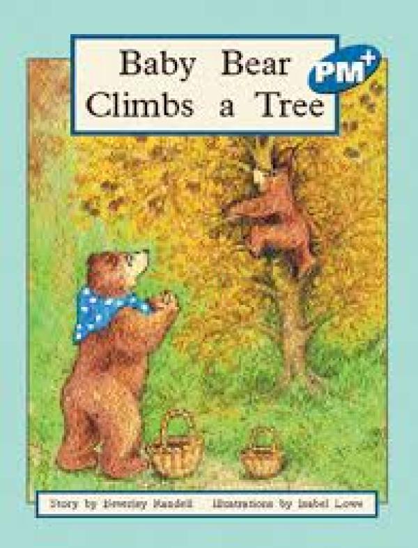 Baby Bear Climbs a Tree (Level 9)