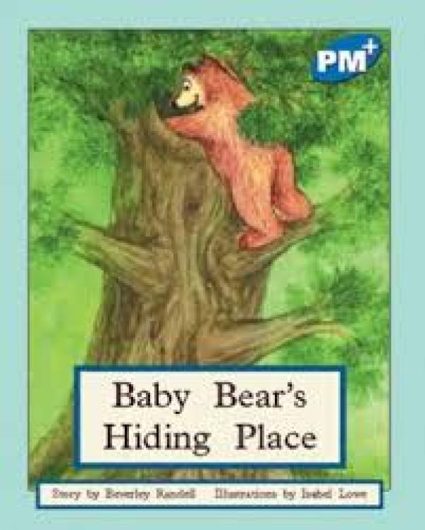 Baby Bear's Hiding Place (Level 9)