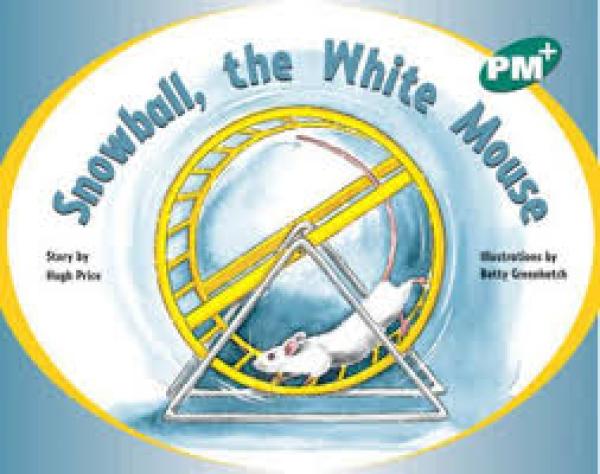 Snowball the White Mouse (Level 12)