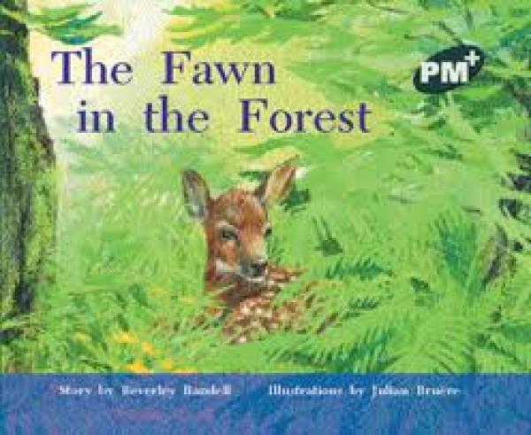 A Fawn in the Forest (Level 14)