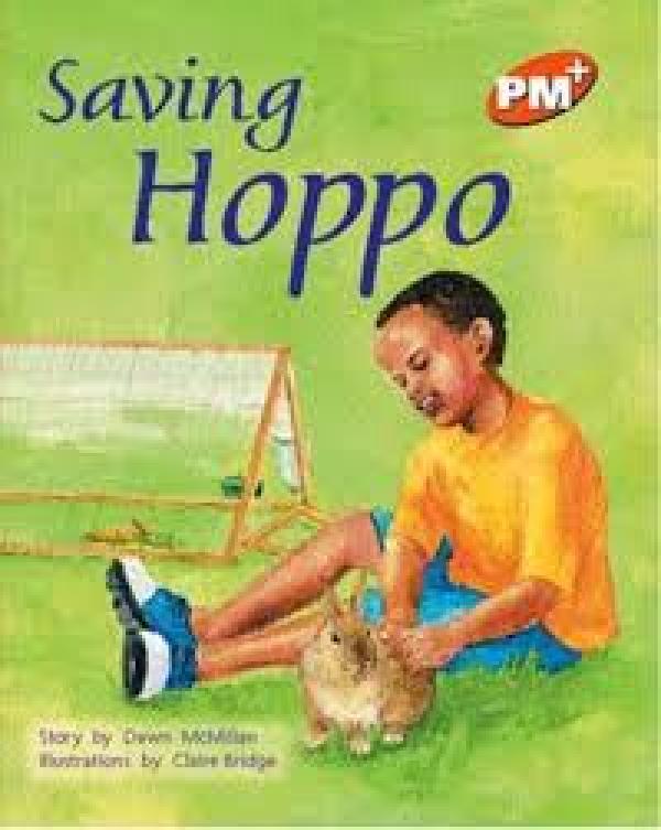 Saving Hoppo (Level 15)