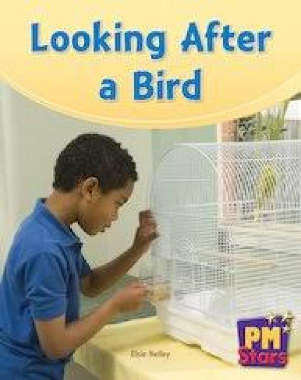 Looking After a Bird (Level 14-15)