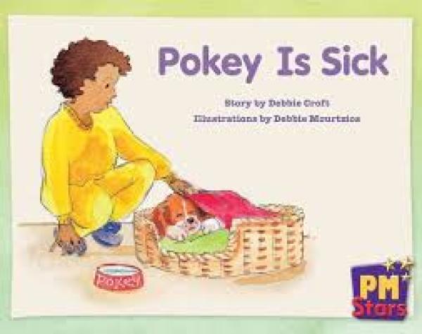 Pokey is Sick (Level 8)