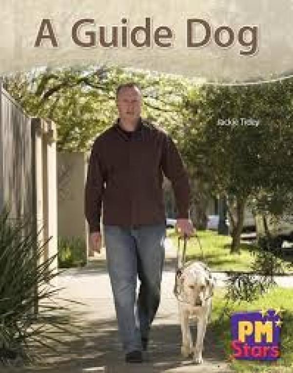 A Guide Dog (Nonfiction LVL 11/12)