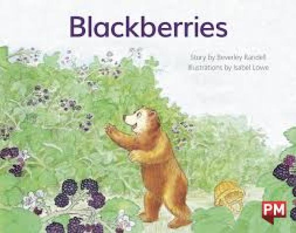 Blackberries (Level 6)