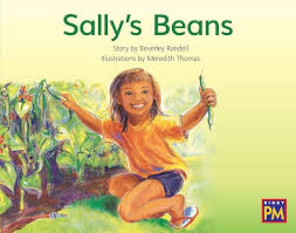 Sally's Beans (Level 6)