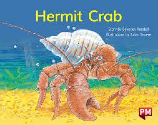 Hermit Crab (Level 7)