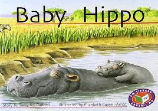 Baby Hippo (Level 6)