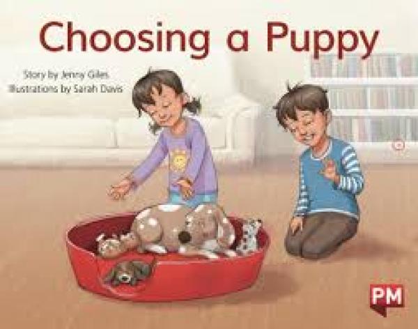Choosing a Puppy (Level 7)