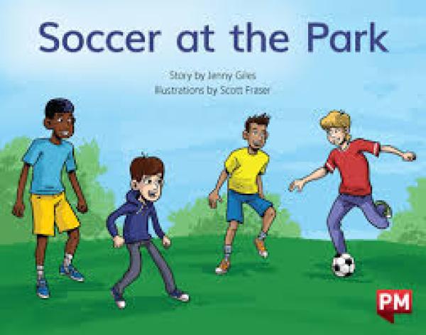 Soccer at the Park (Level 7)