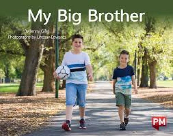 My Big Brother (Level 8-9)