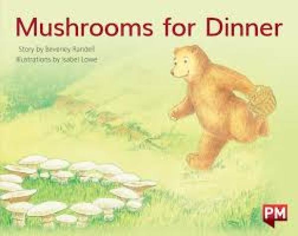 Mushrooms for Dinner (Level 11)
