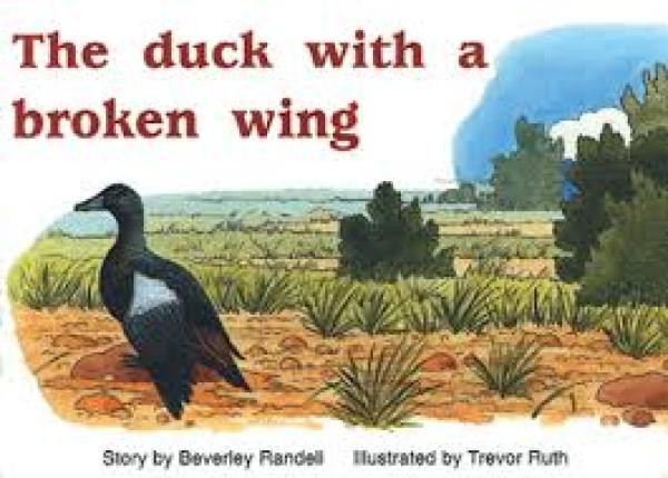The Duck with the Broken Wing (Level 9)