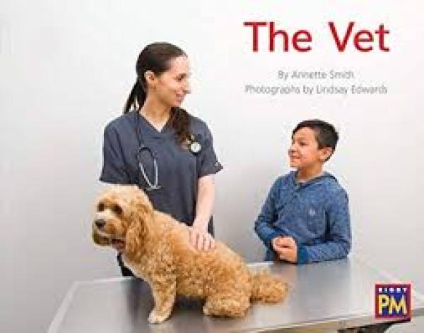 The Vet (Level 11-12)