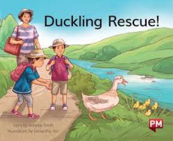 Duckling Rescue (Level 12)