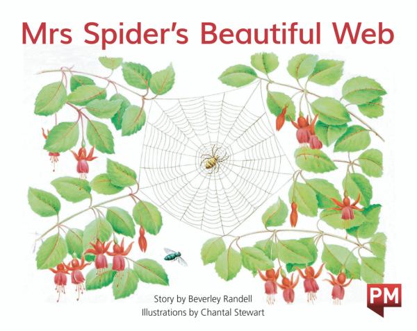 Mrs Spider's Beautiful Web (Level 13)