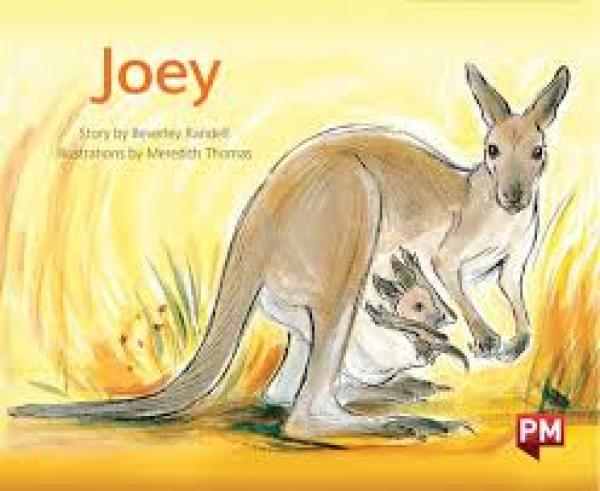 Joey (Level 14)