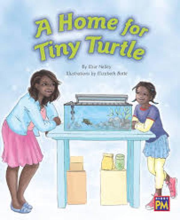 A Home for Tiny Turtle (Level 15)