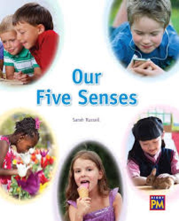 Our Five Senses (Level 15)
