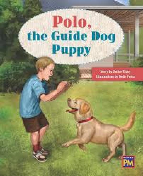Polo, The Guide Dog Puppy (Level 15)