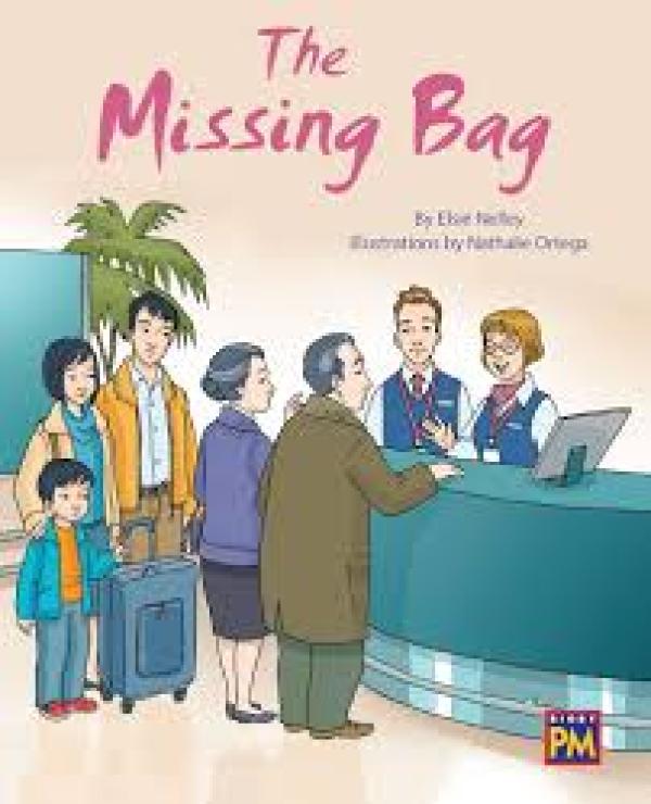 The Missing Bag (Level 16)