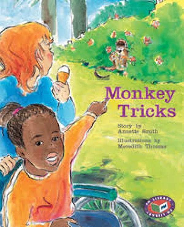 Monkey Tricks (Level 17)